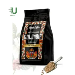Full Body Robusta